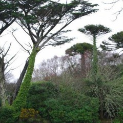 The Lame Project - Brighter Than The Stars Feat Keith Grogan