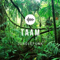 TAAM - Junglefunk (Preview)