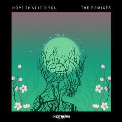 Hope That Its You ft. Annamarie Rosanio (razlo. Remix)