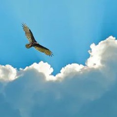 Chris Celentano - I'll Fly Away (Cover)