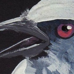 Rolling Sessions (Deep D&B Mix)