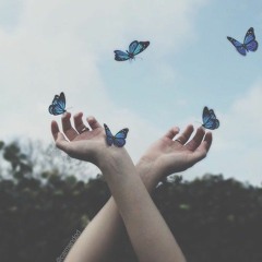 you give me butterflies