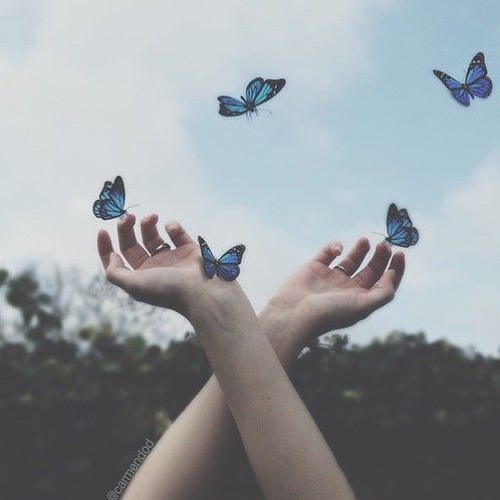 you give me butterflies