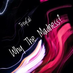 TreyCal - Why The Madness(prod. by Fly Melodies)