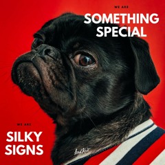 Silky Signs - Something Special