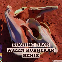 Flume-Rushing Back (ft. Vera Blue) || Aseem Kurhekar Remix