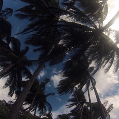 King Riffy Jr. (Prod. Mason Gobin & Cullen Zackuse)