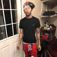 FR33 HERBO