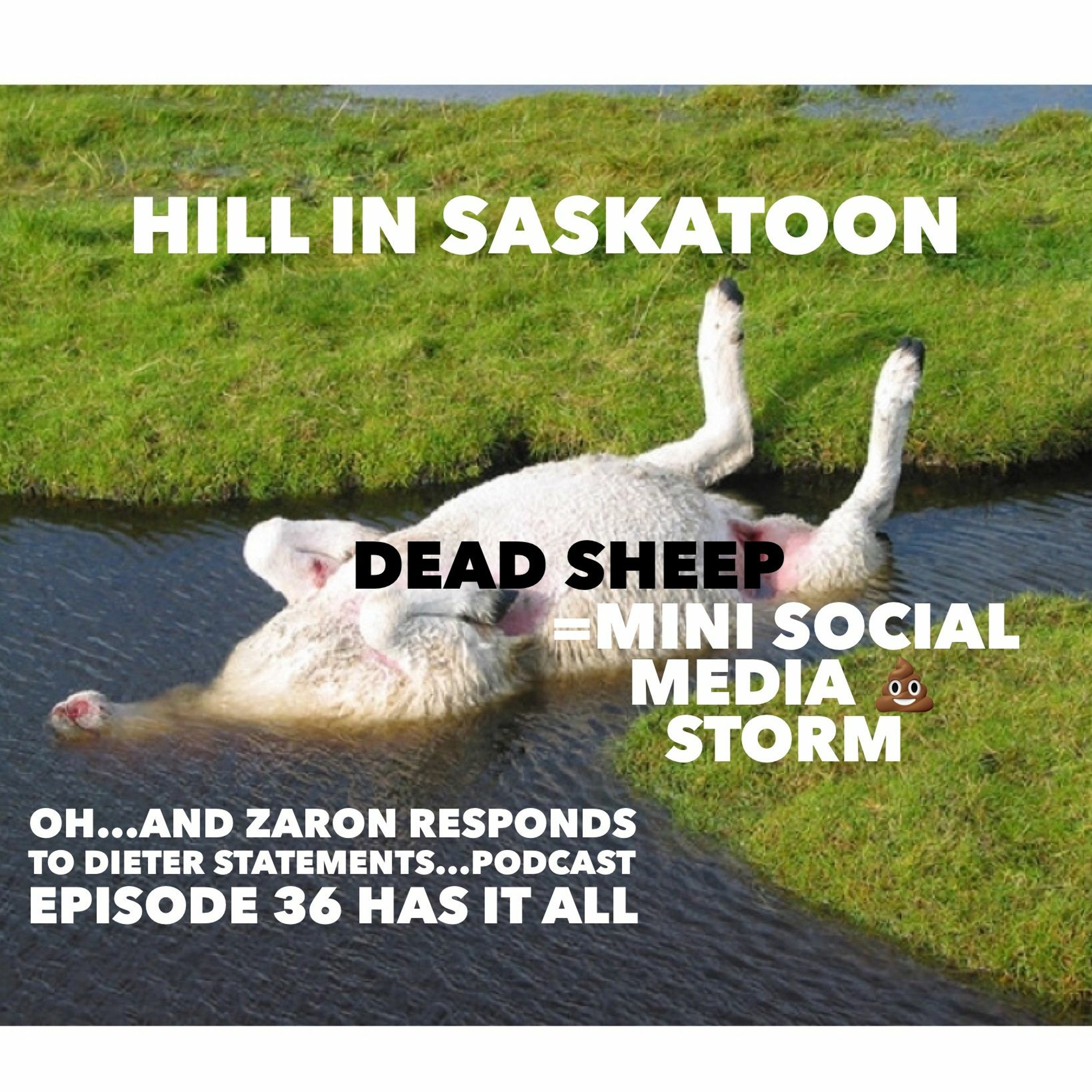 Episode 36-Canadian Bowl thoughts and mini social media shitstorm episode artwork