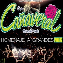 Grupo Cañaveral Homenaje A Grandes Mix | Dj Mazter Joe