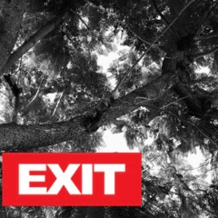 EX!T - Distant Echo