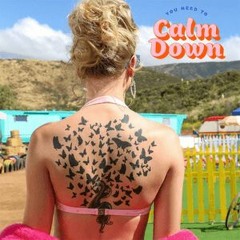 Taylor Swift - You Need To Calm Down (SCOTTY McFLYY Remix) [Extended]