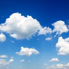 what it feels like when i eat camembert cheese