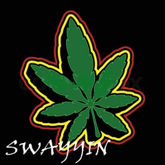 Swayyin-ZAPZ