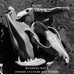 Flume - Rushing Back (xylin Remix) feat. Vera Blue
