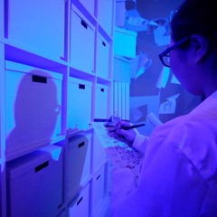 Project PS - Complete Soundtrack