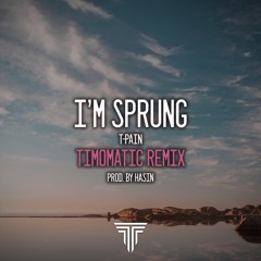 I'm Sprung - T-Pain (Timomatic Remix)