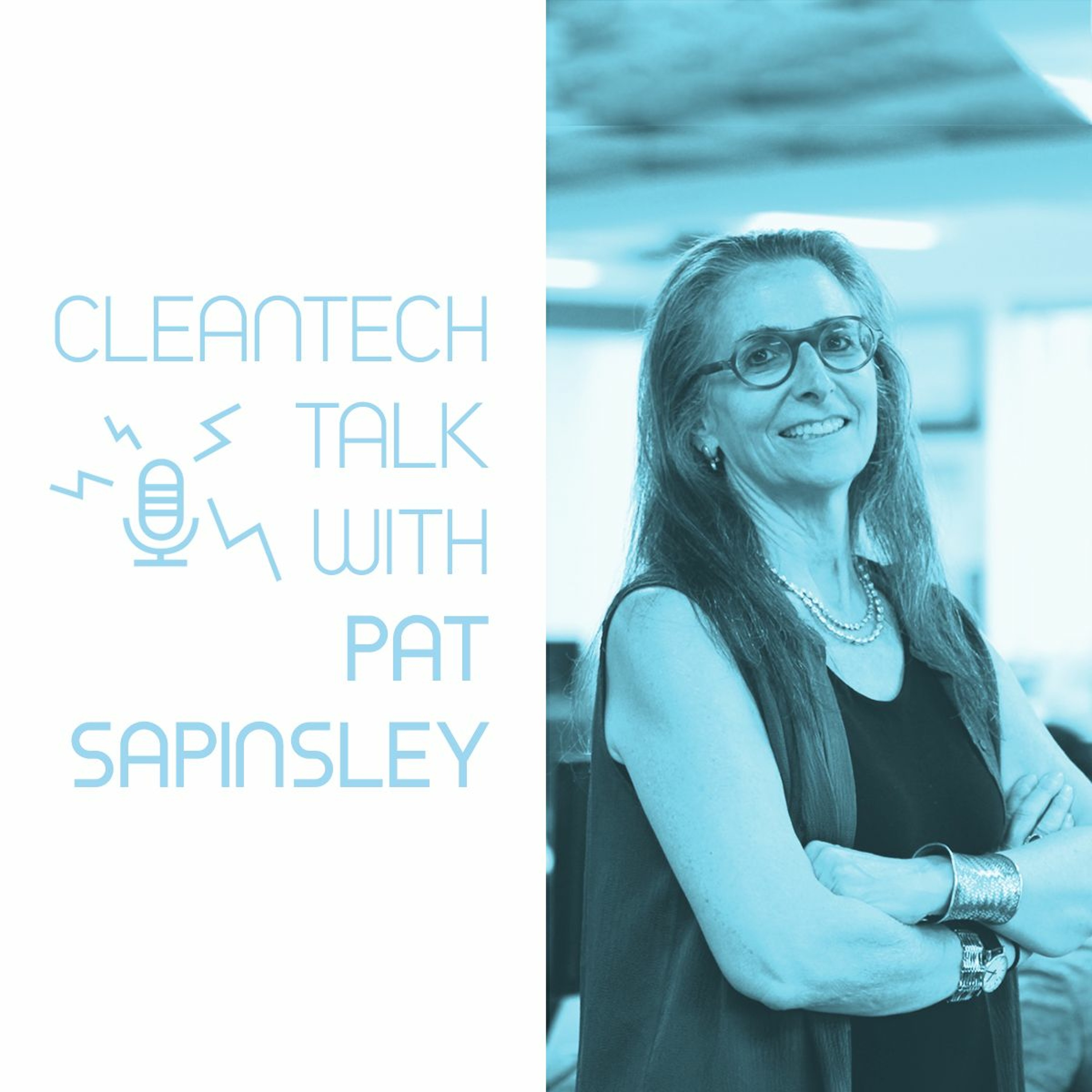 CleanTech Talk — EVs, Solar, Batteries, AI, Tesla