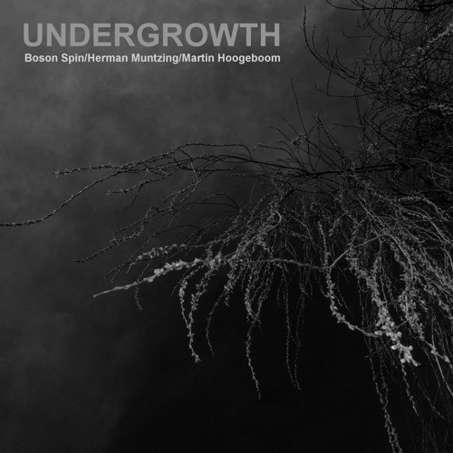 Undergrowth I (Boson Spin/Herman Muntzing/Martin Hoogeboom)