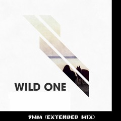 9MM WILD ONE (EXTENDED MIX)