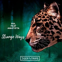 PIX, Amatista - Strange Ways (Elegant Ape Remix)
