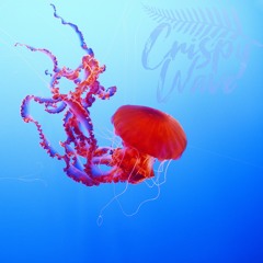 CW Radio 45 ⑊ Jellyfish