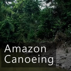 Amazon Rainforest - Dawn Canoe Ride