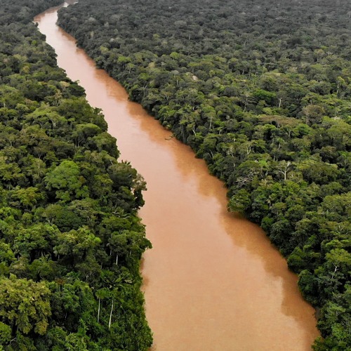 Amazon rainforest