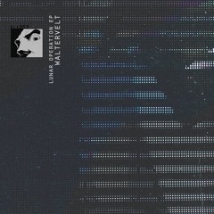 Waltervelt - Magman (Original Mix)