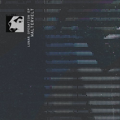 Waltervelt - Magman (Original Mix)