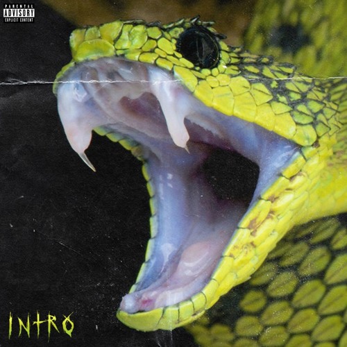 INTRO
