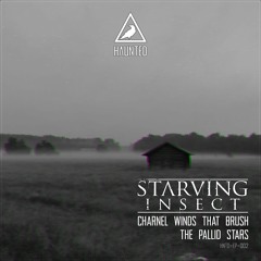 HNTD-EP-002 Starving Insect - Charnel Winds (Mental Fear Productions Remix)