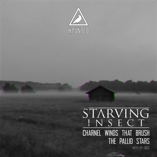 HNTD-EP-002 Starving Insect - Charnel Winds (Mental Fear Productions Remix)