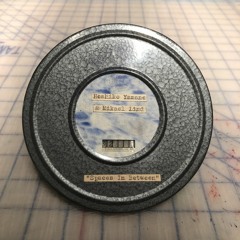 Hoshiko Yamane & Mikael Lind  "Spaces In Between"   Beyond The Hidden