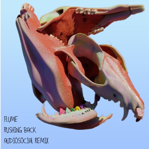 Flume - Rushing Back (feat. Vera Blue) [AUDIOSOCIAL Remix]