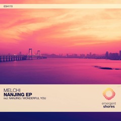Melchi - Wonderful You (Original Mix) [ESH170]
