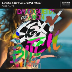 Lucas & Steve X Pep & Rash Ft. Akon & David Guetta - Feel The Sexy Bitch Alive (LRT. Mashup)
