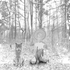 Peter and the Wolf, Op. 67 by Sergei Prokofiev