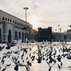 سورة الكهف، القارئ الشيخ أحمد كاسب.