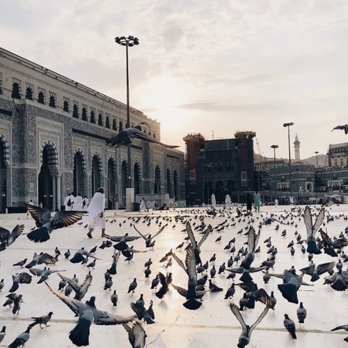 سورة الكهف، القارئ الشيخ أحمد كاسب.