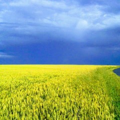 IL N'Y A PLUS RIEN À DIRE