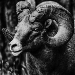 Rap monster pt.2  🐐