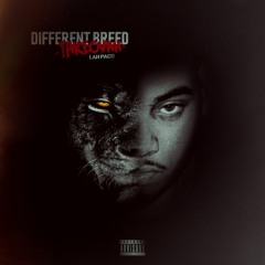 Lah Paco~ PACS REVENGE PT.2