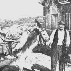 O ALMOCREVE QUE TROUXE A GUITARRA