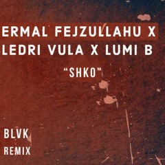 Ermal Fejzullahu Ft. Ledri Vula X Lumi B - Shko (BLVK Remix)