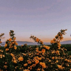 P E A C H ( prod. aostone, kiyoto)