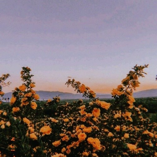 P E A C H ( prod. aostone, kiyoto)