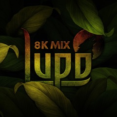 8K Mix