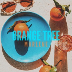 Orange Tree // Prod. Rickie