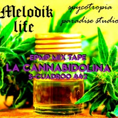 LA CANNABIDOLINA - SCUADROO 442 - EPMP MIX TAPE - PSYCOTROPIA PARADISE STUDIO